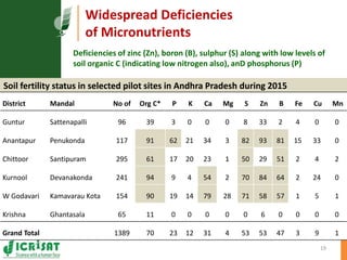 Primary sector mission - Transforming agriculture