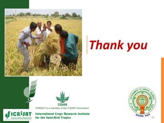 Primary sector mission - Transforming agriculture