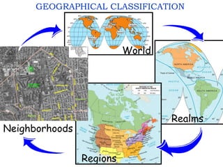 GEOGRAPHICAL CLASSIFICATION
World
Realms
Regions
Neighborhoods
 
