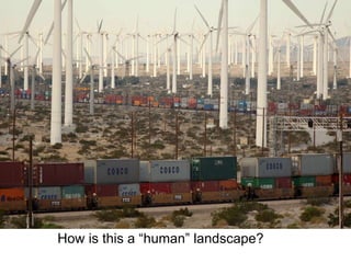 How is this a “human” landscape?
 