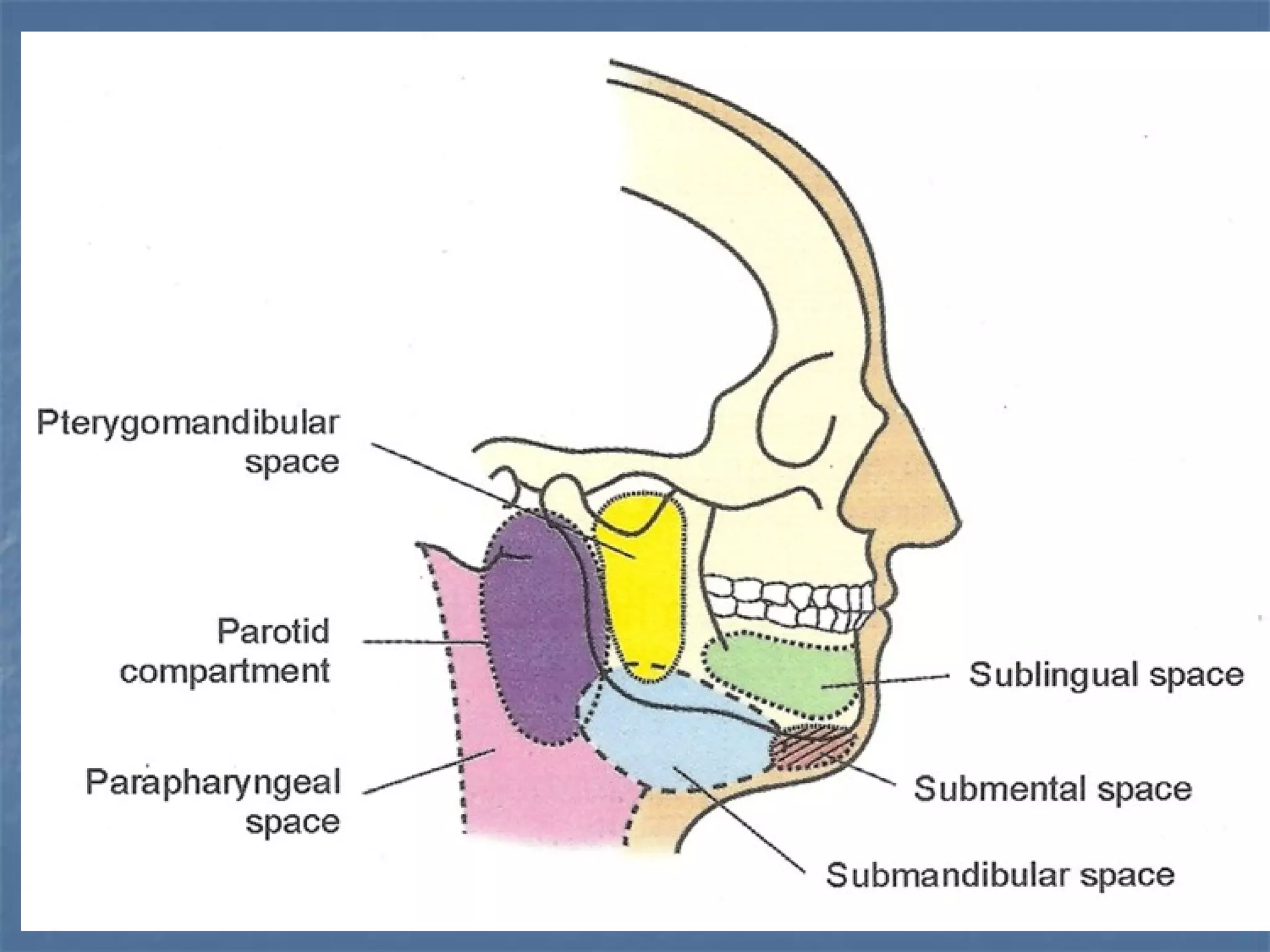 Primary spaces infection | PPT