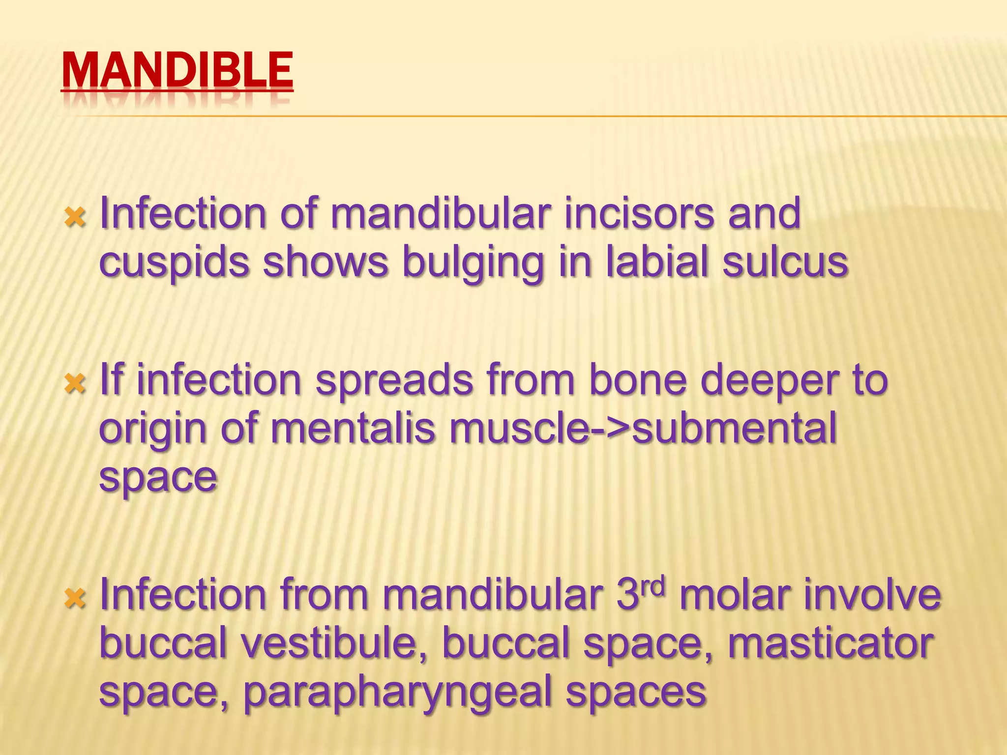 Primary spaces of space infection | PPTX