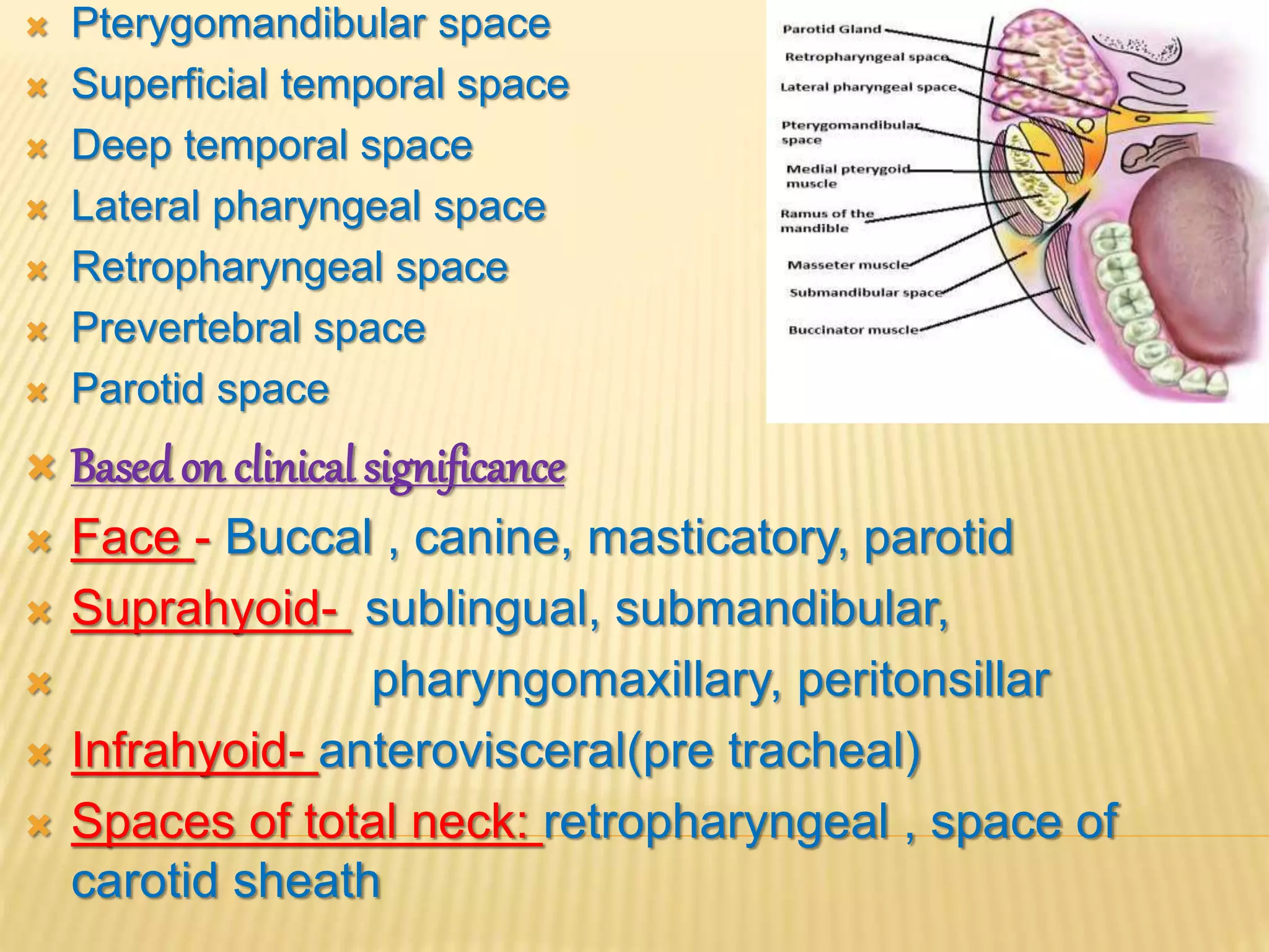 Primary spaces of space infection | PPTX