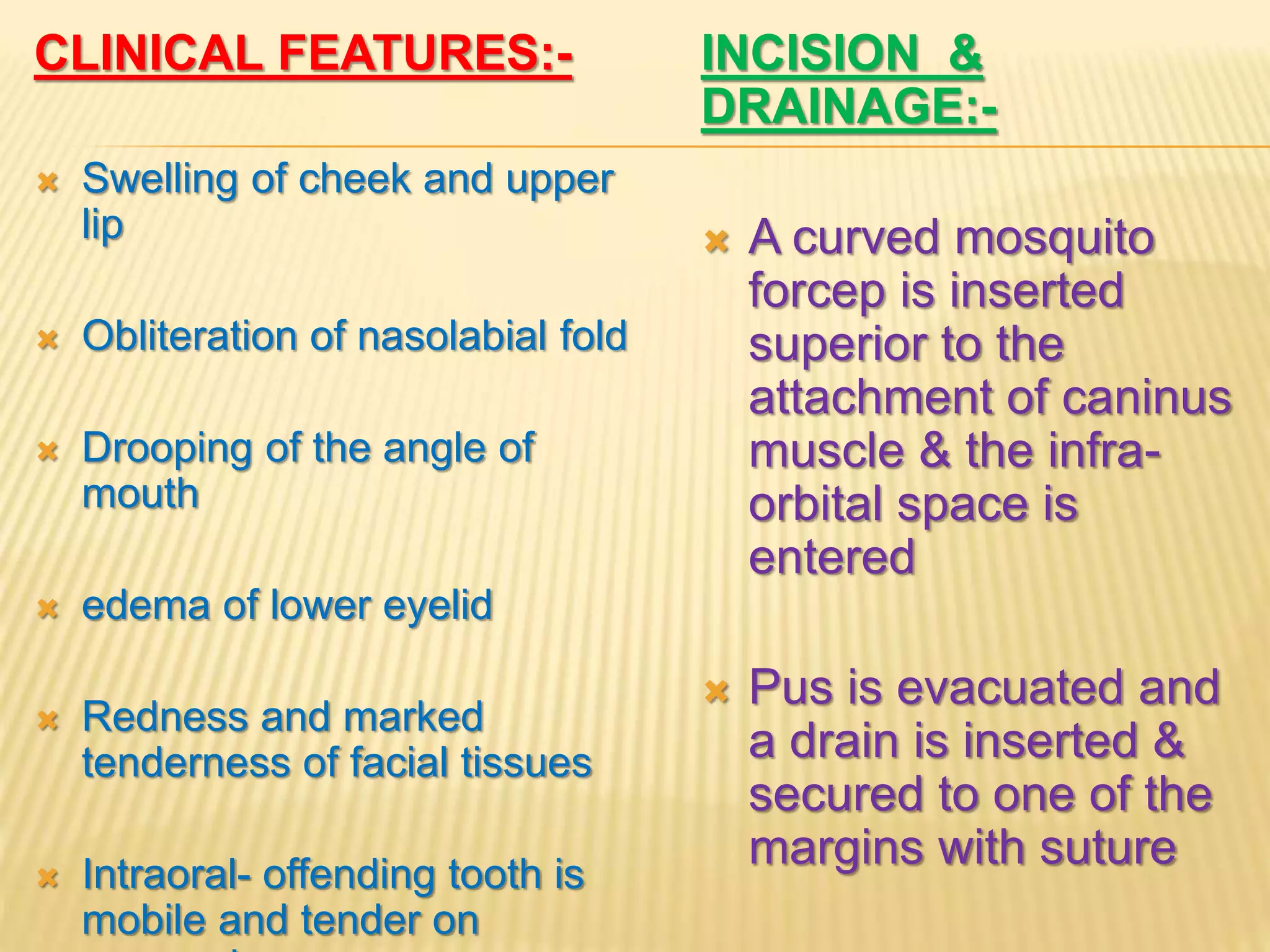 Primary spaces of space infection | PPTX