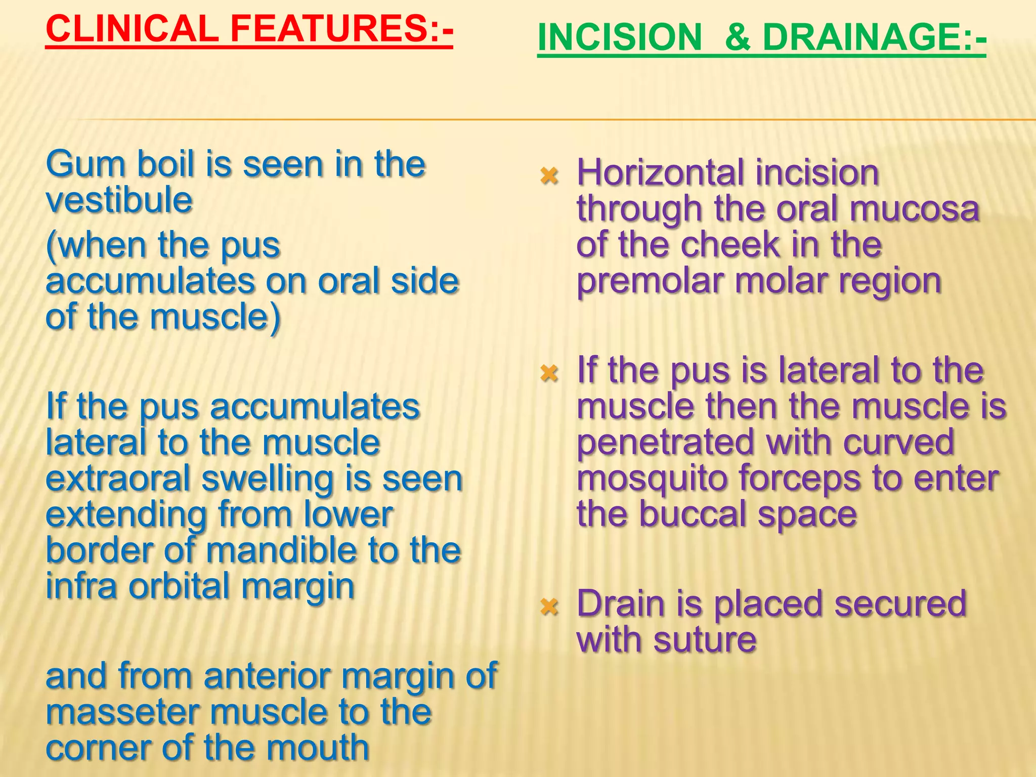 Primary spaces of space infection | PPTX