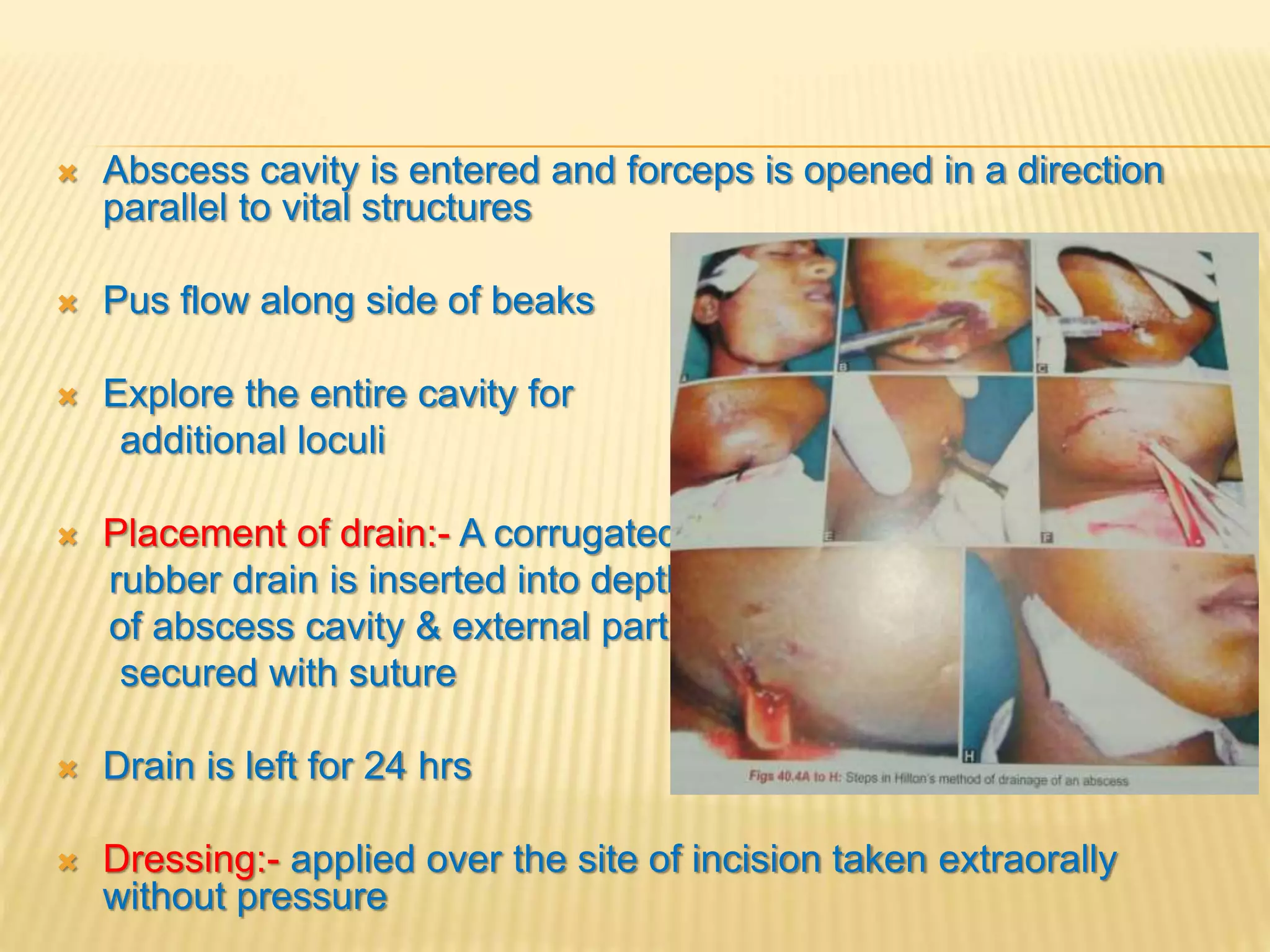 Primary spaces of space infection | PPTX