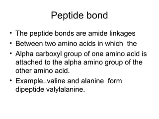 Peptide bond
• The peptide bonds are amide linkages
• Between two amino acids in which the
• Alpha carboxyl group of one amino acid is
attached to the alpha amino group of the
other amino acid.
• Example..valine and alanine form
dipeptide valylalanine.