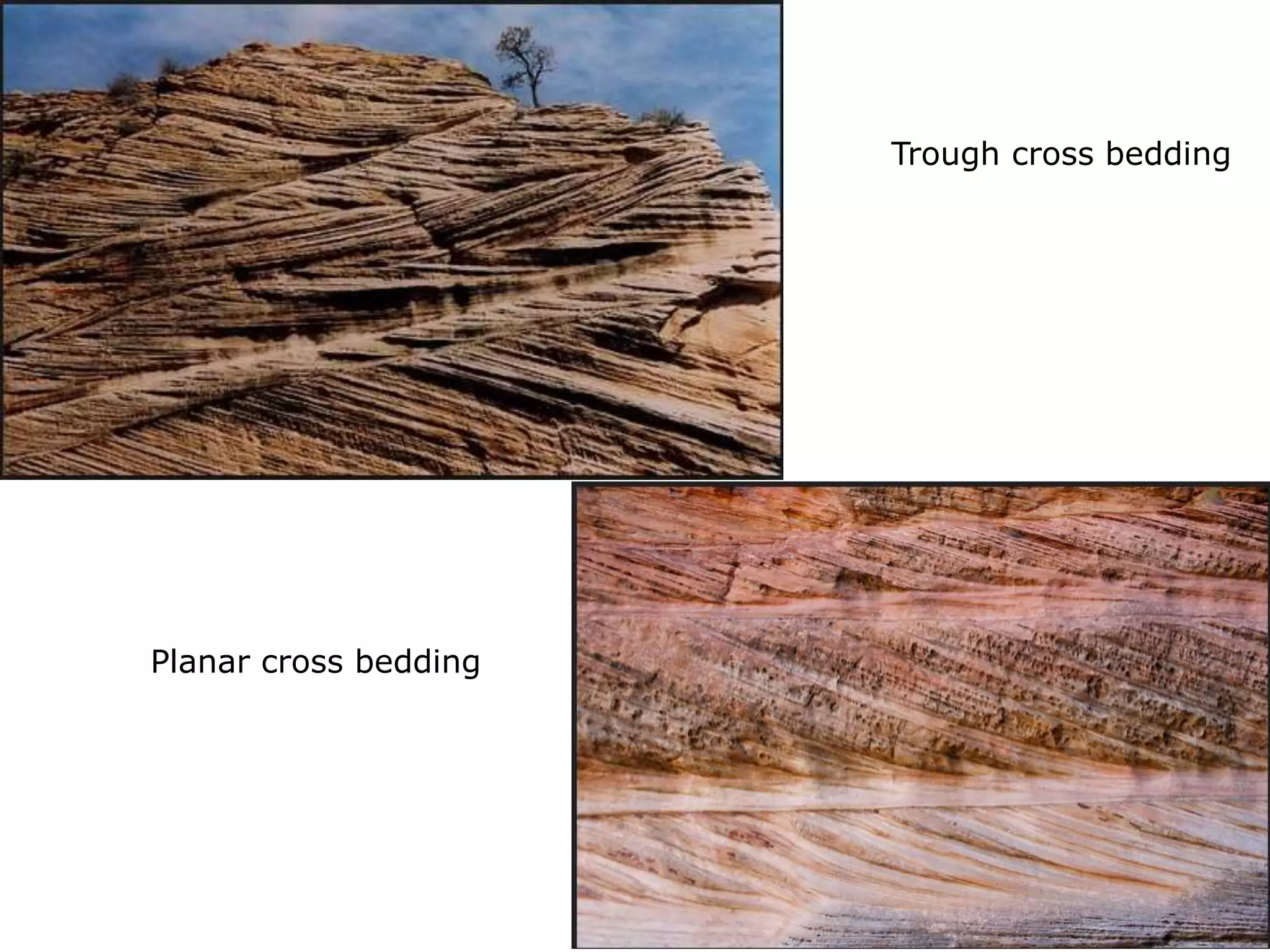 Trough cross bedding
Planar cross bedding
 