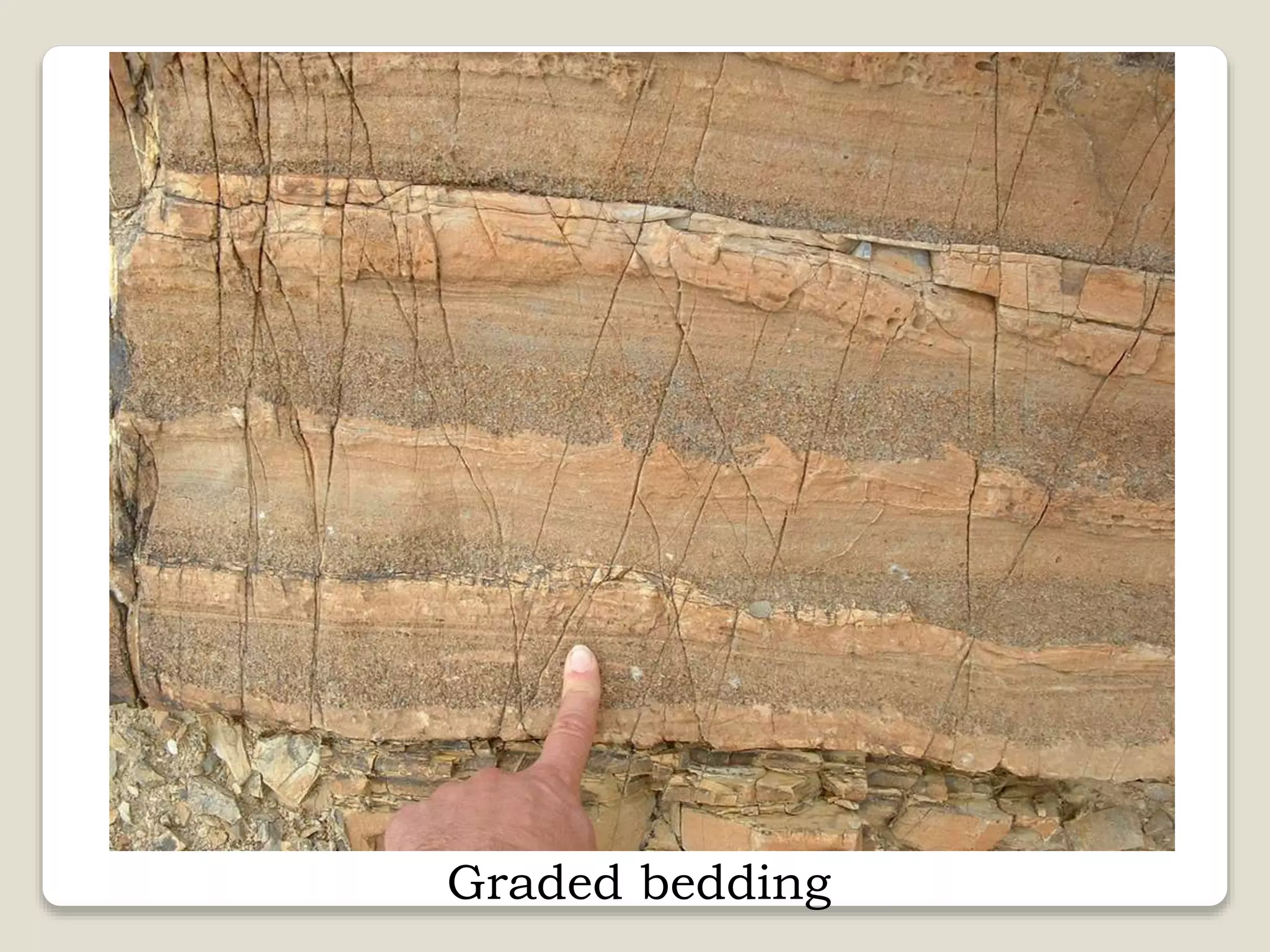 Graded bedding
 