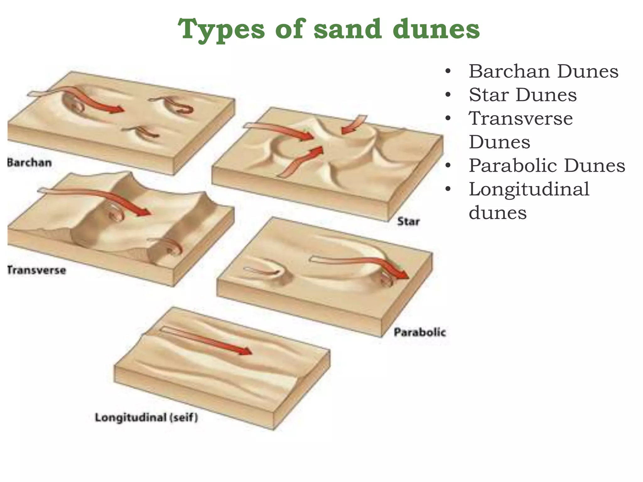 Types of sand dunes
• Barchan Dunes
• Star Dunes
• Transverse
Dunes
• Parabolic Dunes
• Longitudinal
dunes
 