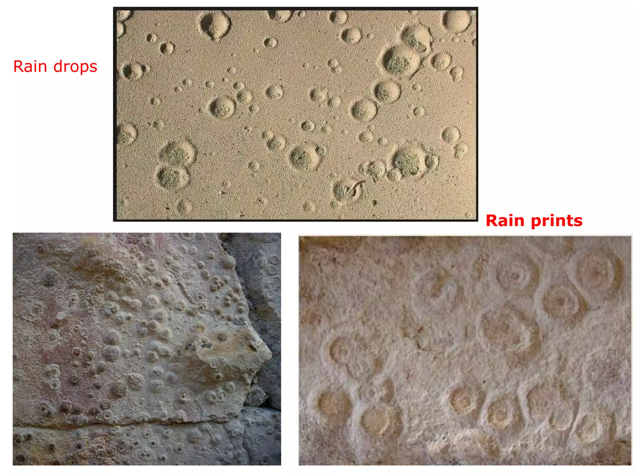 Rain prints
Rain drops
 