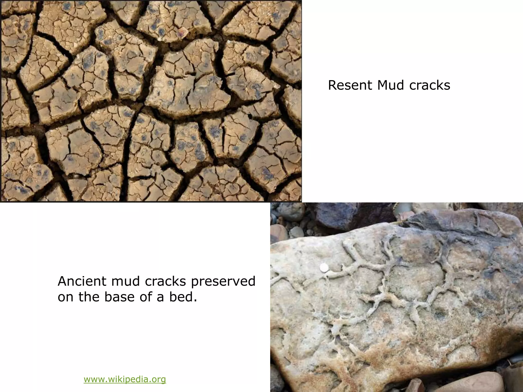 Ancient mud cracks preserved
on the base of a bed.
Resent Mud cracks
www.wikipedia.org
 