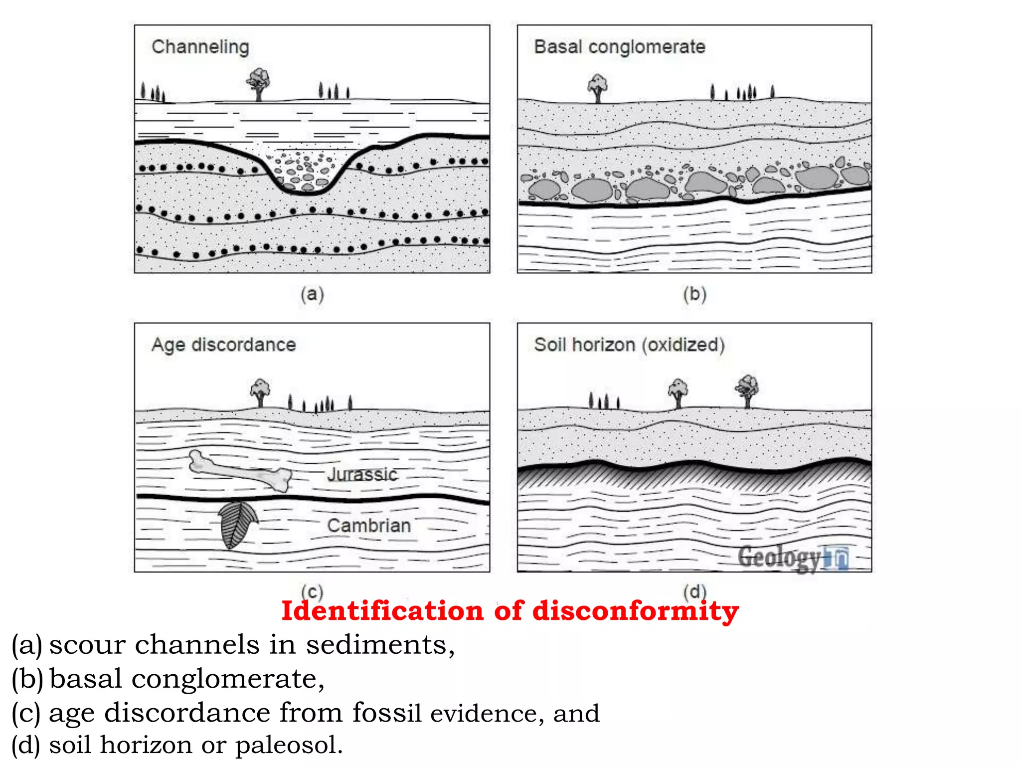 Identification of disconformity
(a) scour channels in sediments,
(b)basal conglomerate,
(c) age discordance from fossil evidence, and
(d) soil horizon or paleosol.
 