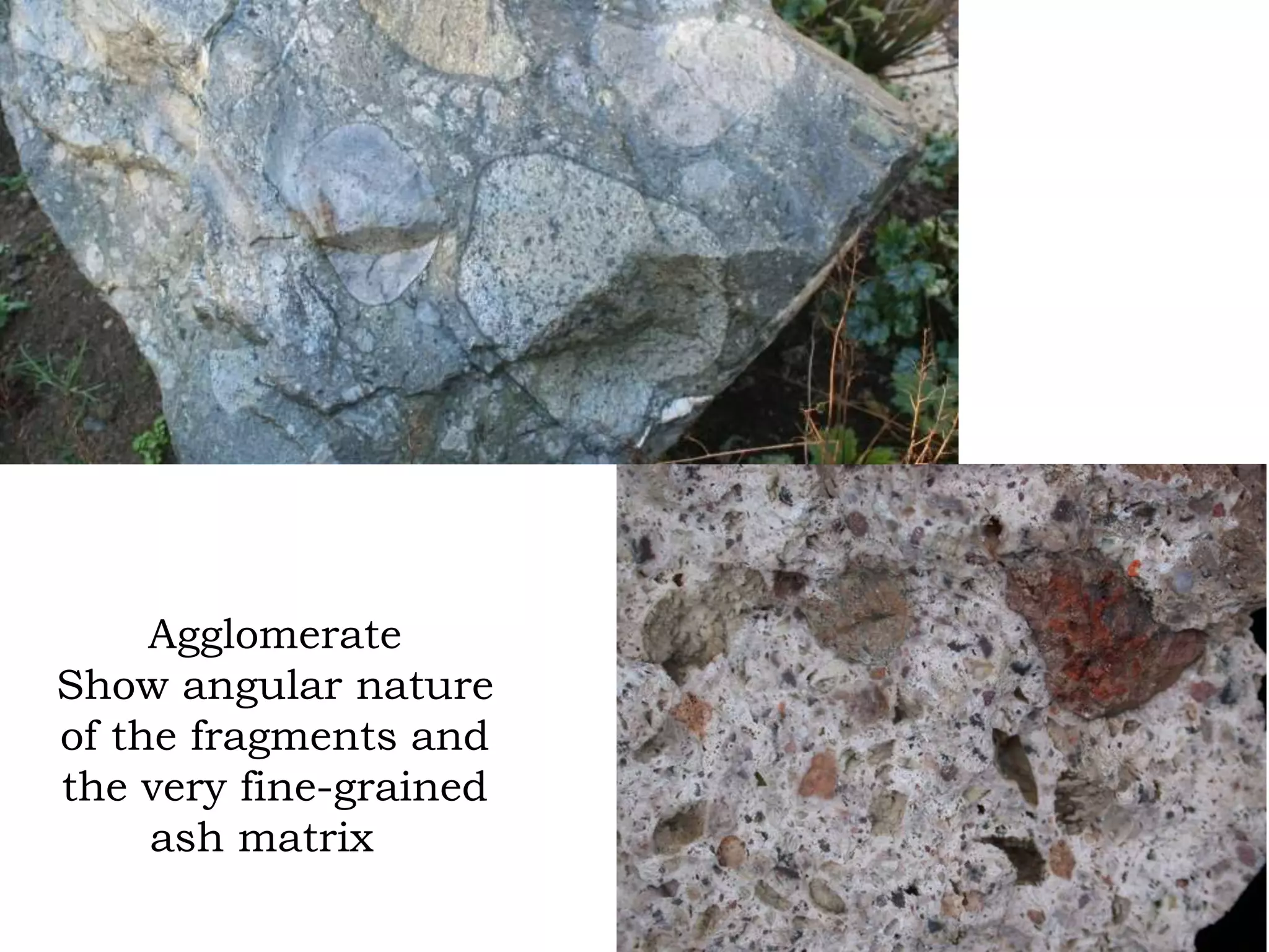 Agglomerate
Show angular nature
of the fragments and
the very fine-grained
ash matrix
 