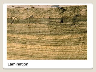 Primary structures of sedimentary and igneous rocks | PPTX