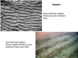 Primary structures of sedimentary and igneous rocks | PPTX