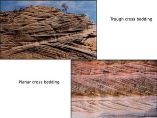Primary structures of sedimentary and  igneous rocks