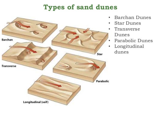 Primary structures of sedimentary and igneous rocks
