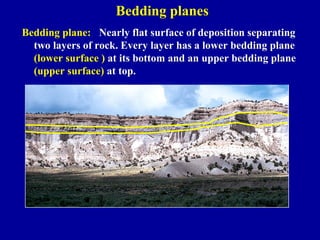 Comprehensive Overview of Primary Sedimentary Structures in Structural ...