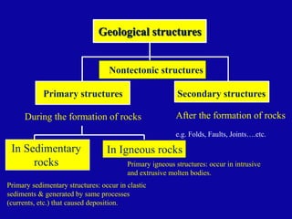 Comprehensive Overview of Primary Sedimentary Structures in Structural ...