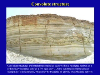 Comprehensive Overview of Primary Sedimentary Structures in Structural ...