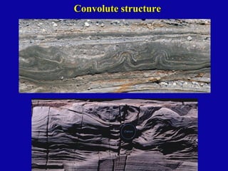 Comprehensive Overview of Primary Sedimentary Structures in Structural ...