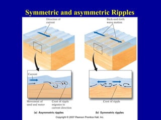 Comprehensive Overview of Primary Sedimentary Structures in Structural ...