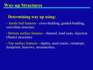 Comprehensive Overview of Primary Sedimentary Structures in Structural ...