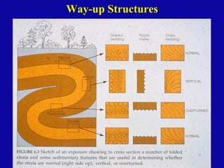 Comprehensive Overview of Primary Sedimentary Structures in Structural ...