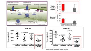 Primary Systemic Therapy for Inflammatory Breast Cancer | PPTX
