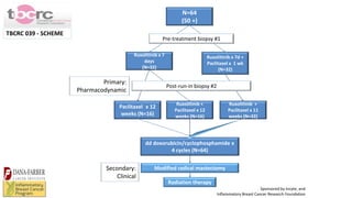 Primary Systemic Therapy for Inflammatory Breast Cancer | PPTX