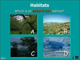 Habitats Which is an  MOUNTAIN  habitat? A C B D Q10 