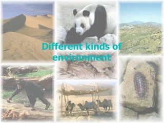 Different kinds of environment 