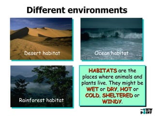 Different environments Ocean habitat Rainforest habitat Desert habitat HABITATS  are the places where animals and plants live. They might be  WET  or  DRY ,  HOT  or  COLD ,  SHELTERED  or  WINDY . 