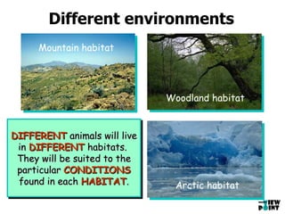 Different environments Woodland habitat Mountain habitat Arctic habitat DIFFERENT  animals will live in  DIFFERENT  habitats.  They will be suited to the particular  CONDITIONS  found in each  HABITAT . 