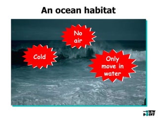 An ocean habitat Cold No air Only move in water 