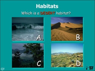Habitats Which is a  DESERT  habitat? A C B D Q7 