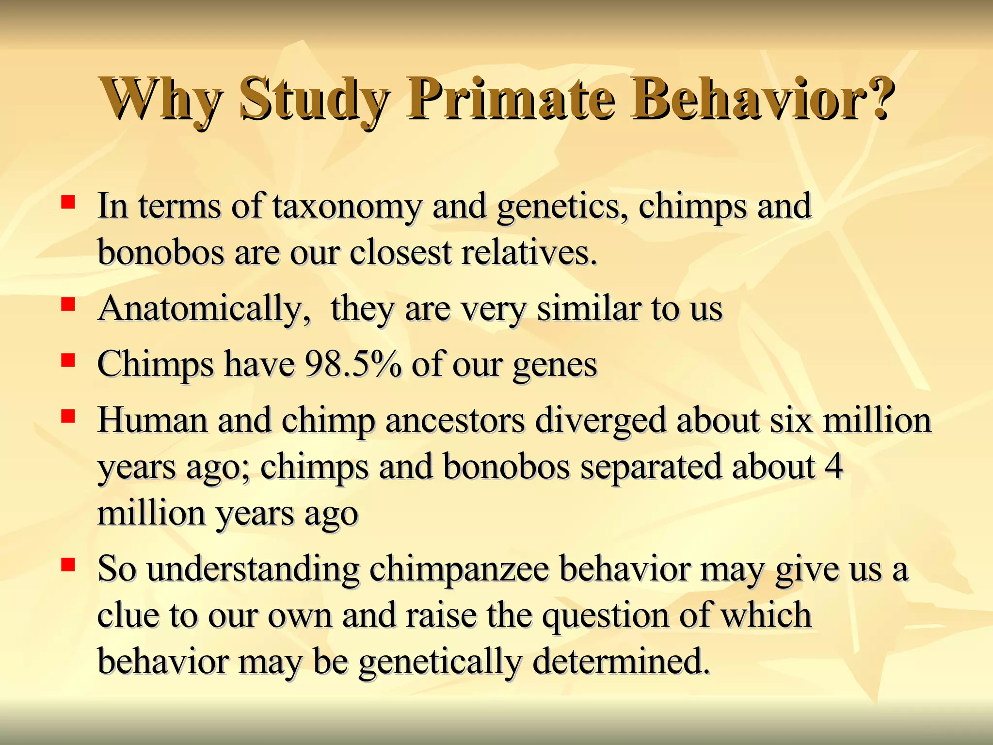 Primate Social Behavior