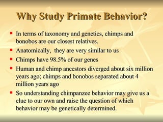 Simian Behavior Primate Social Behavior | PPT