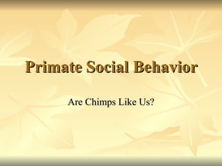Primate Social Behavior Are Chimps Like Us? 