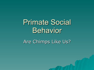 Primate Social Behavior Are Chimps Like Us? 