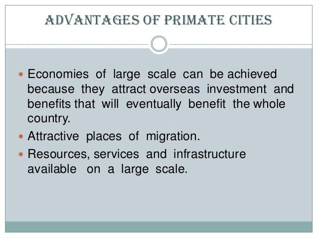 What are some advantages and disadvantages of living in a large city?