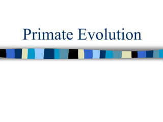Primate Evolution
 