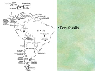 Few fossils 