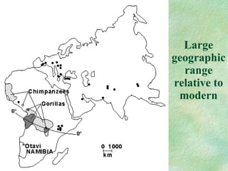 Large geographic range relative to modern 