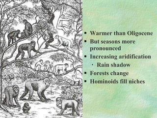 Warmer than Oligocene But seasons more pronounced Increasing aridification Rain shadow Forests change Hominoids fill niches 