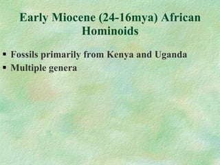 Early Miocene (24-16mya) African Hominoids Fossils primarily from Kenya and Uganda Multiple genera 