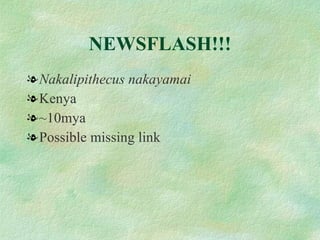 NEWSFLASH!!! Nakalipithecus nakayamai   Kenya ~10mya Possible missing link 