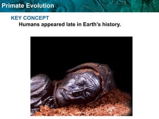 Primate Evolution
KEY CONCEPT
Humans appeared late in Earth’s history.
 