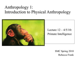 Anthropology 1: Introduction to Physical Anthropology Lecture 12 – 4/5/10: Primate Intelligence SMC Spring 2010 Rebecca Frank 